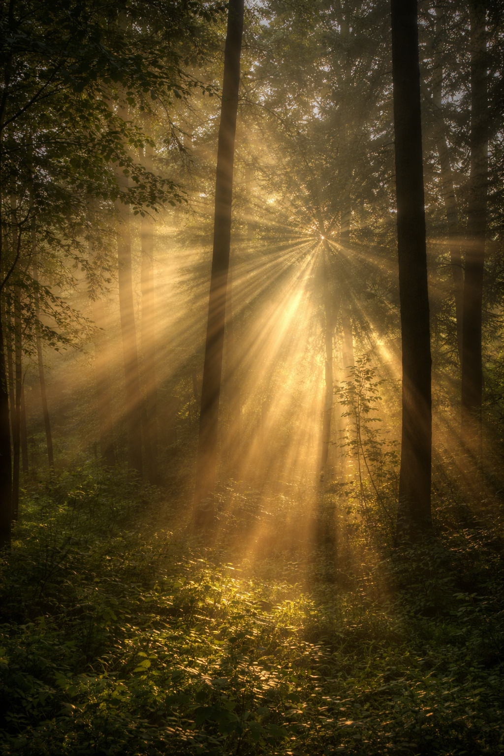 Weltenwanderung – Autogenes Training bei Heyla Coaching